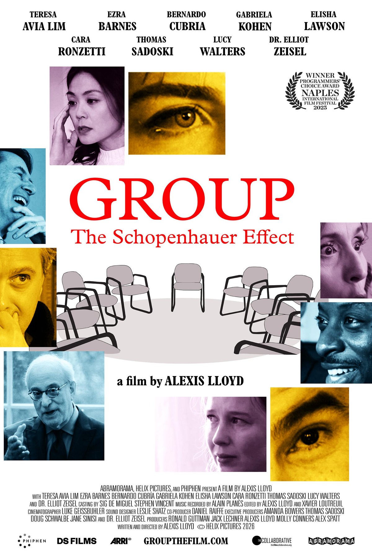 Poster of the movie Group: The Schopenhauer Effect