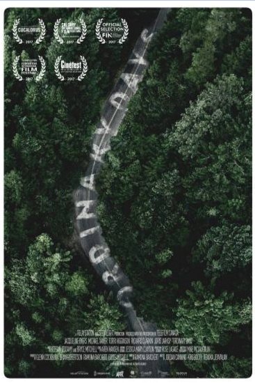 L'affiche du film Ordinary Days