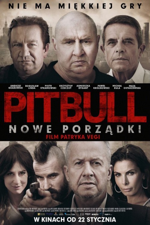 Polish poster of the movie Pitbull. Public Order