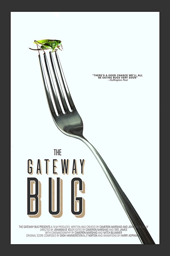 Poster of the movie The Gateway Bug [2017]