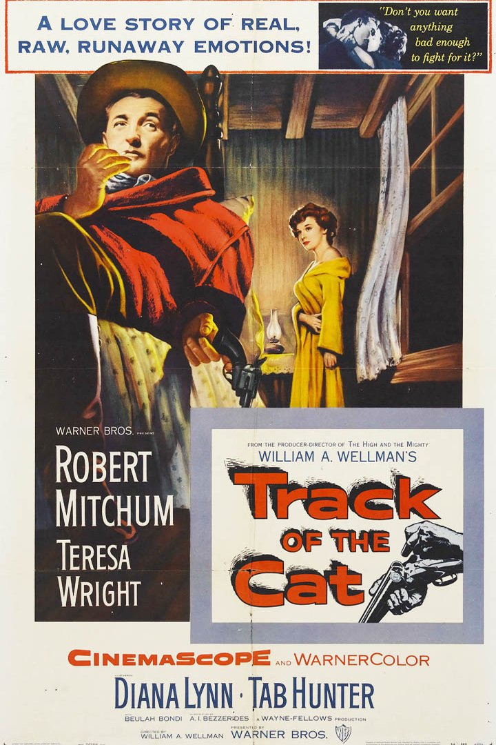 L'affiche du film Track of the Cat