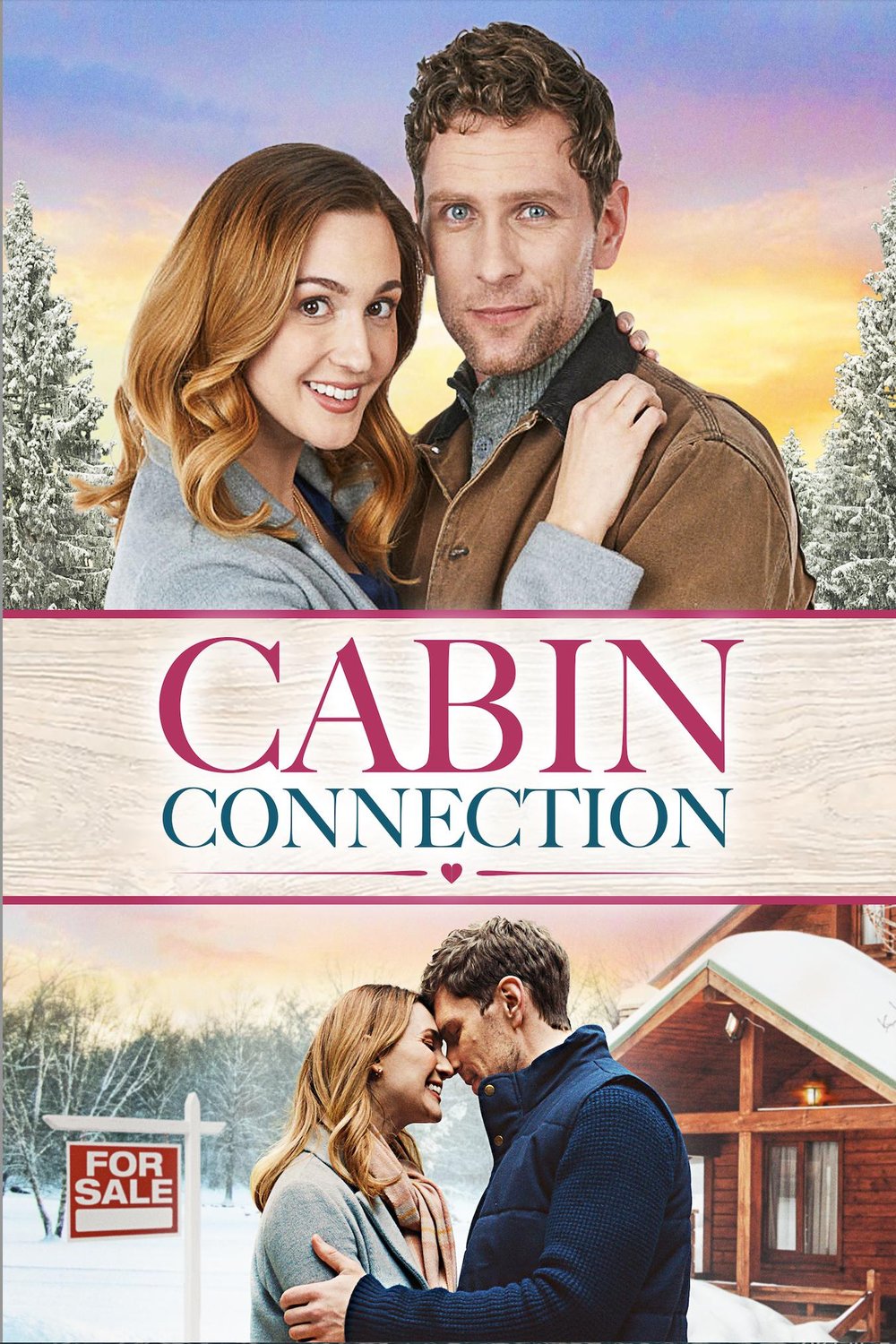 Poster of the movie Cabin Connection
