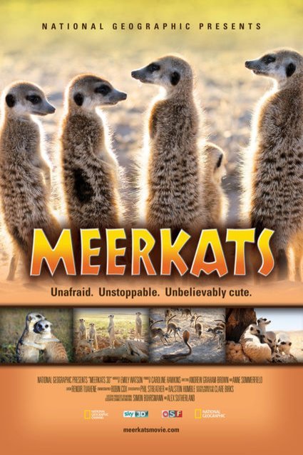 Poster of the movie Meerkats