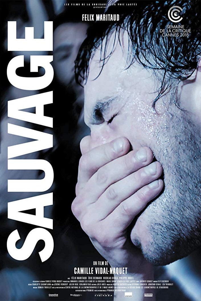 L'affiche du film Sauvage