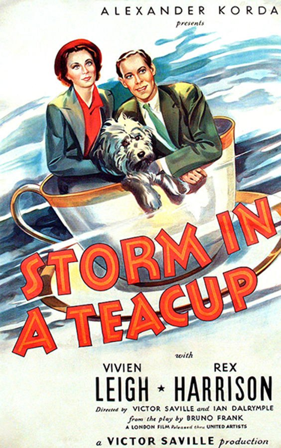 L'affiche du film Storm in a Teacup