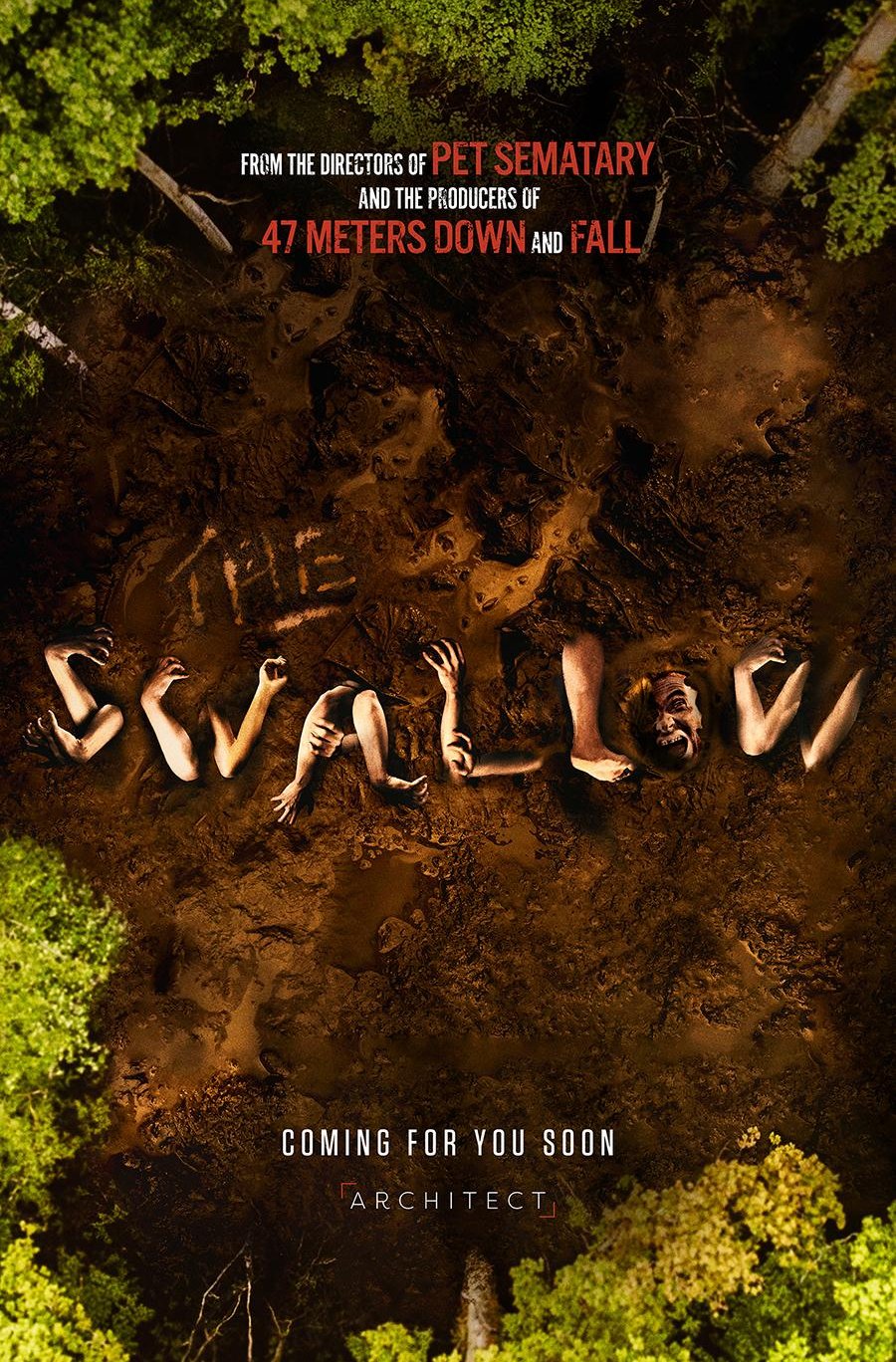 Poster of the movie The Swallow [2026]