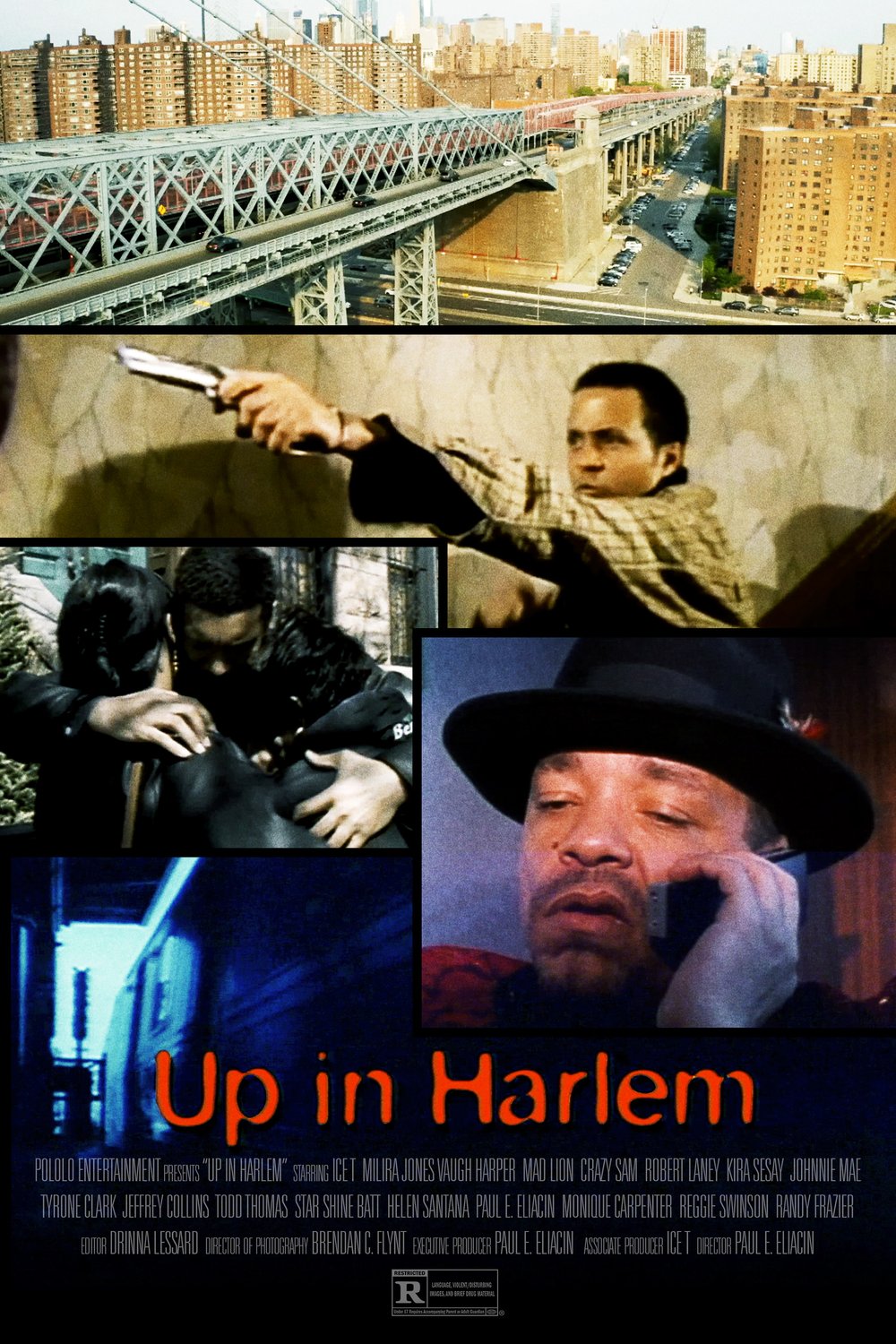 Poster of the movie Up in Harlem