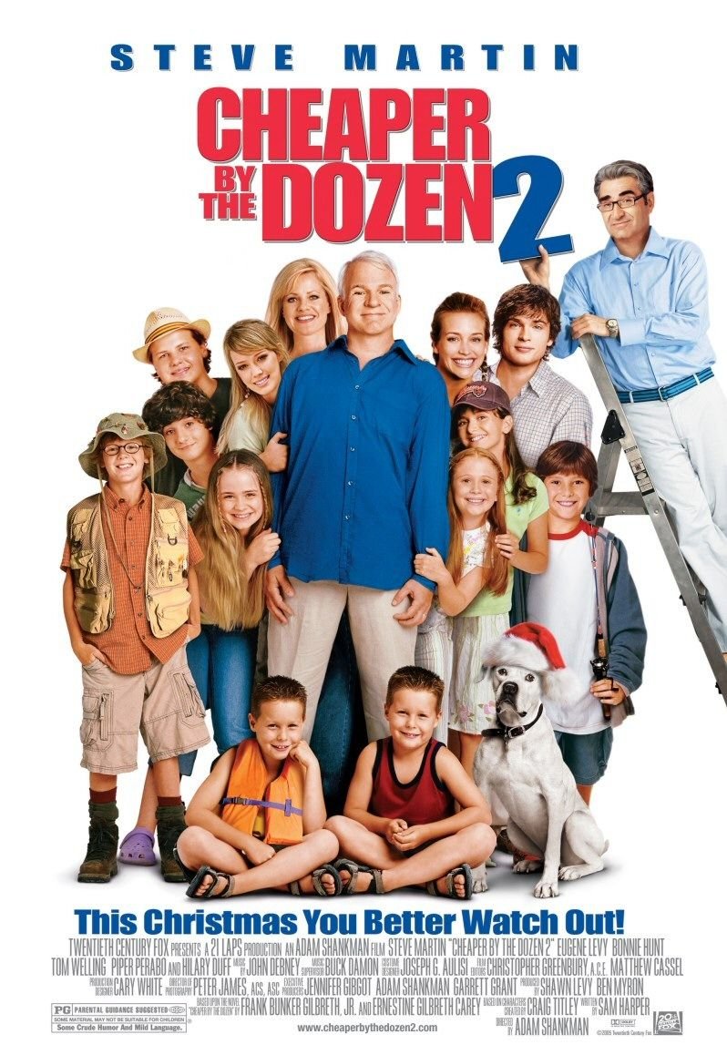 Poster of the movie Cheaper by the Dozen 2