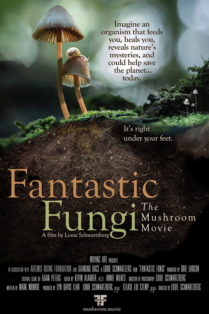 L'affiche du film Fantastic Fungi