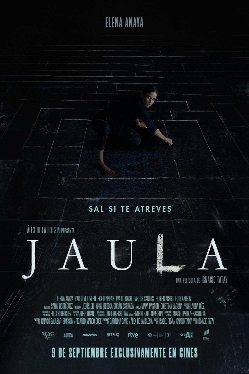 Poster of the movie Jaula [2022]
