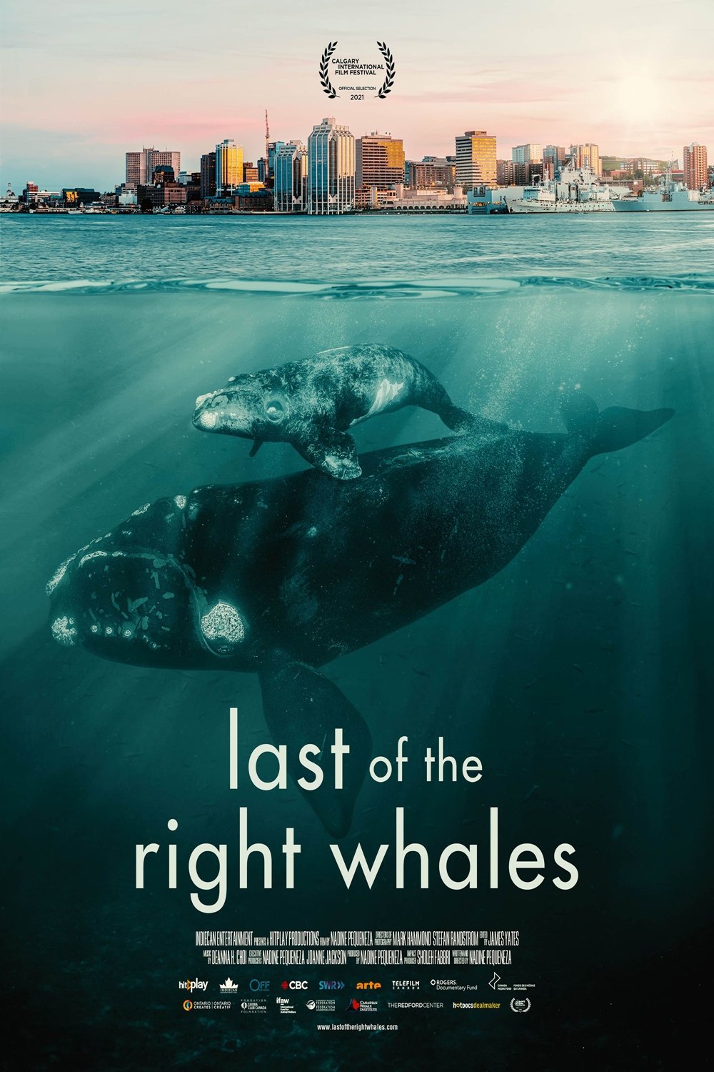 Poster of the movie Last of the Right Whales