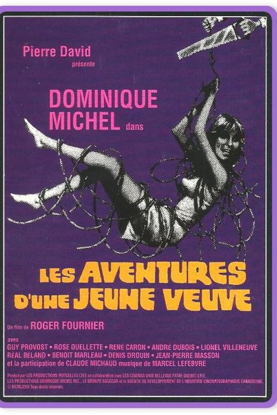 Poster of the movie Les Aventures d'une jeune veuve
