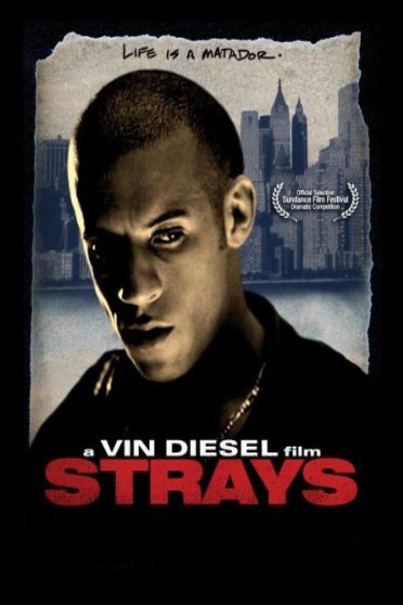 L'affiche du film Strays
