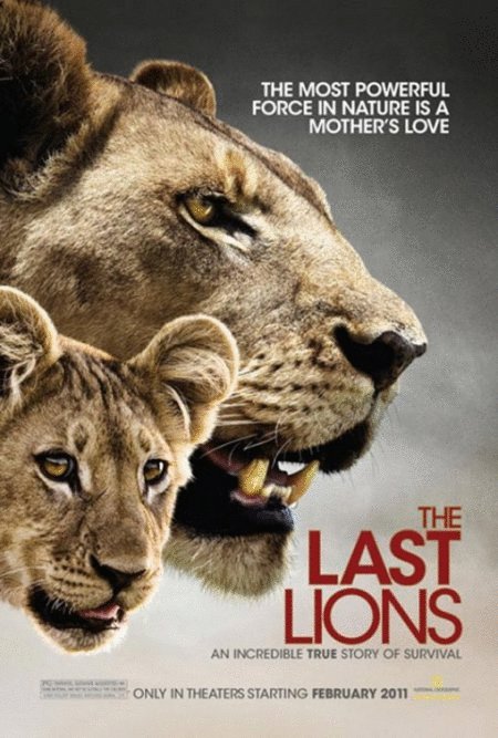 L'affiche du film The Last Lions