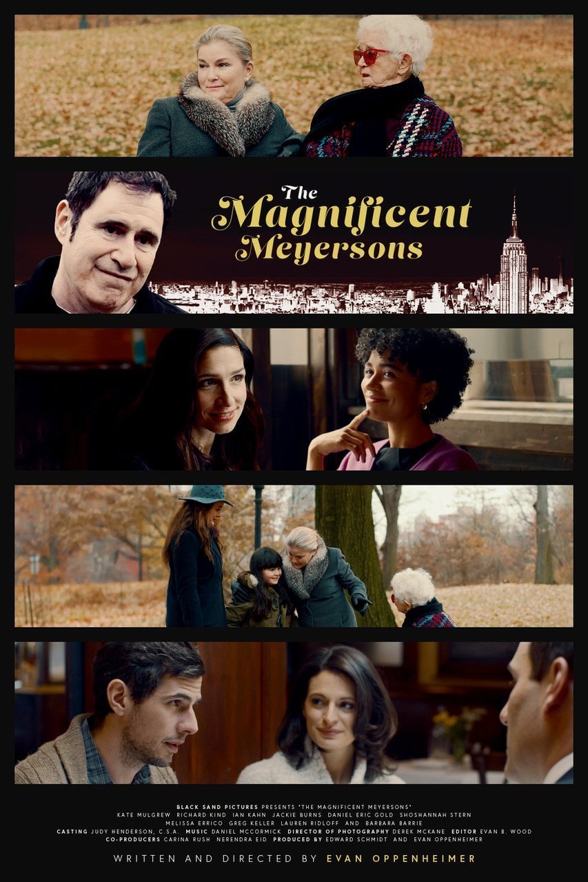 L'affiche du film The Magnificent Meyersons