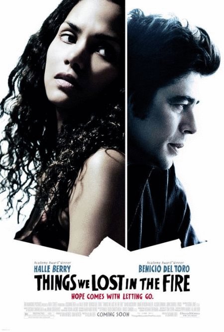 Poster of the movie Things We Lost in the Fire
