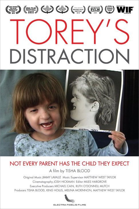 Poster of the movie Torey's Distraction [2009]