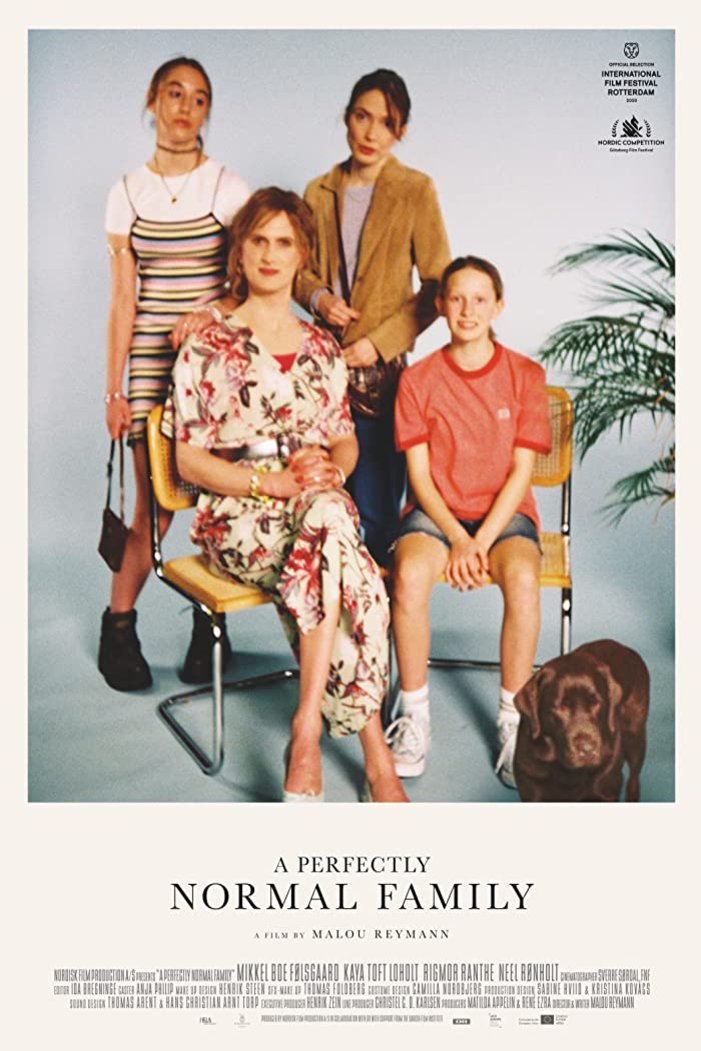 L'affiche du film A Perfectly Normal Family