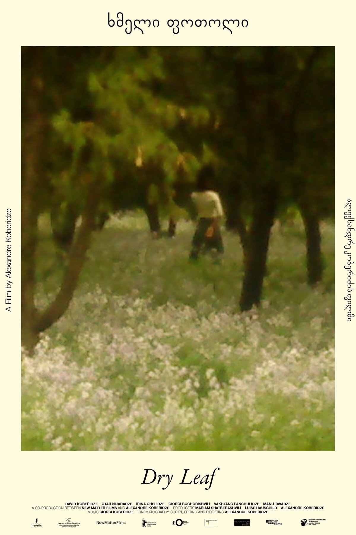 Poster of the movie Dry Leaf