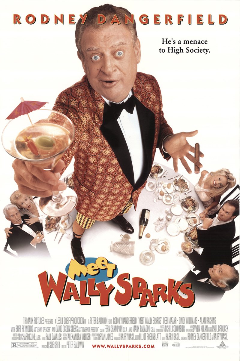 L'affiche du film Meet Wally Sparks