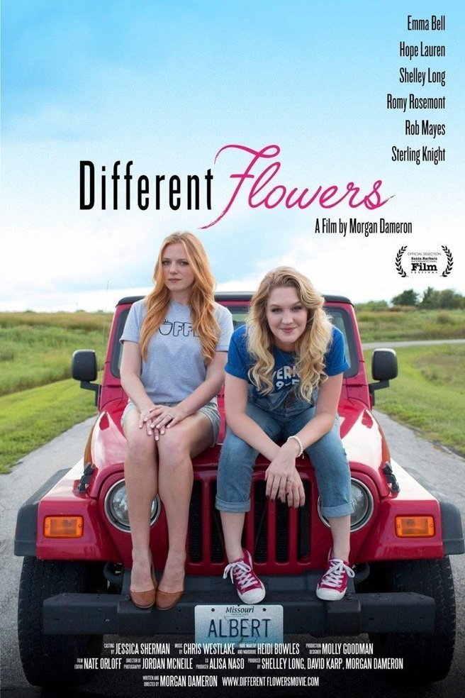 L'affiche du film Different Flowers
