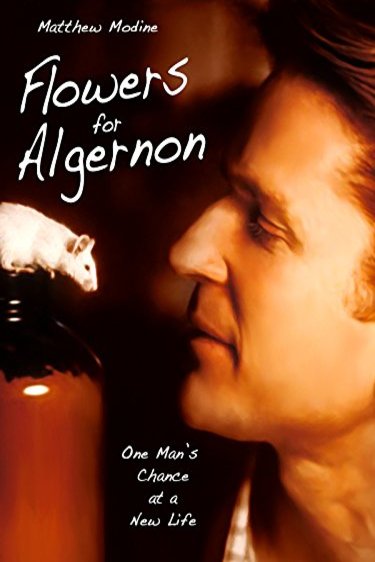 L'affiche du film Flowers for Algernon