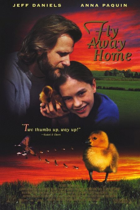 L'affiche du film Fly Away Home