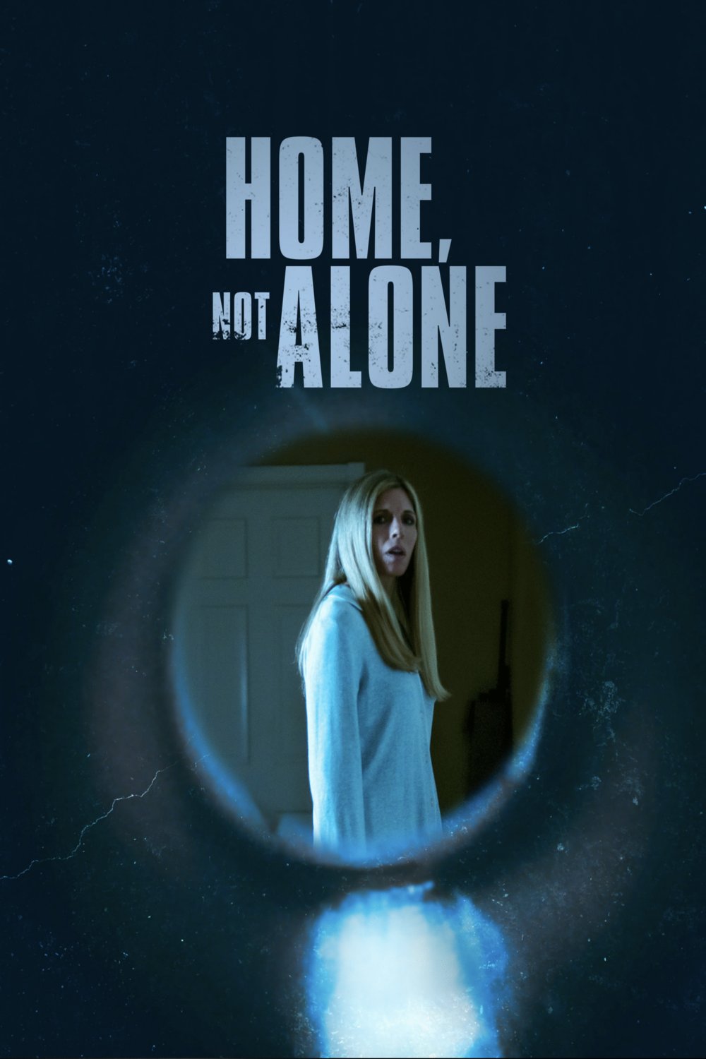 L'affiche du film Home, Not Alone