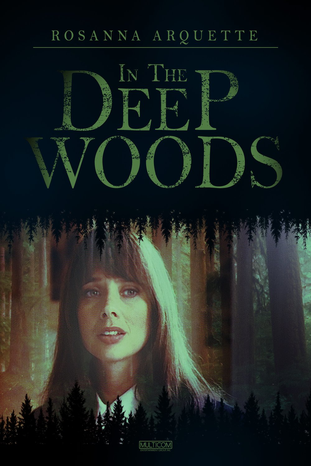 L'affiche du film In the Deep Woods