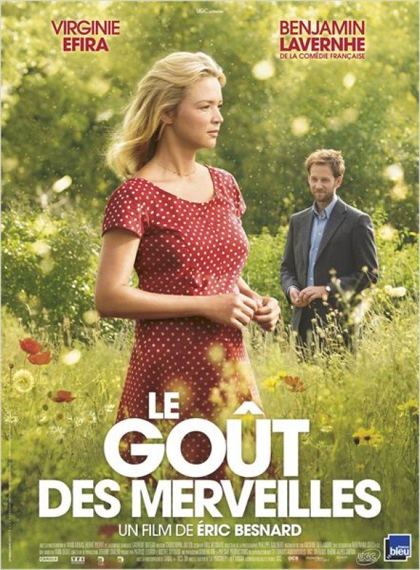 L'affiche du film Le Goût des merveilles