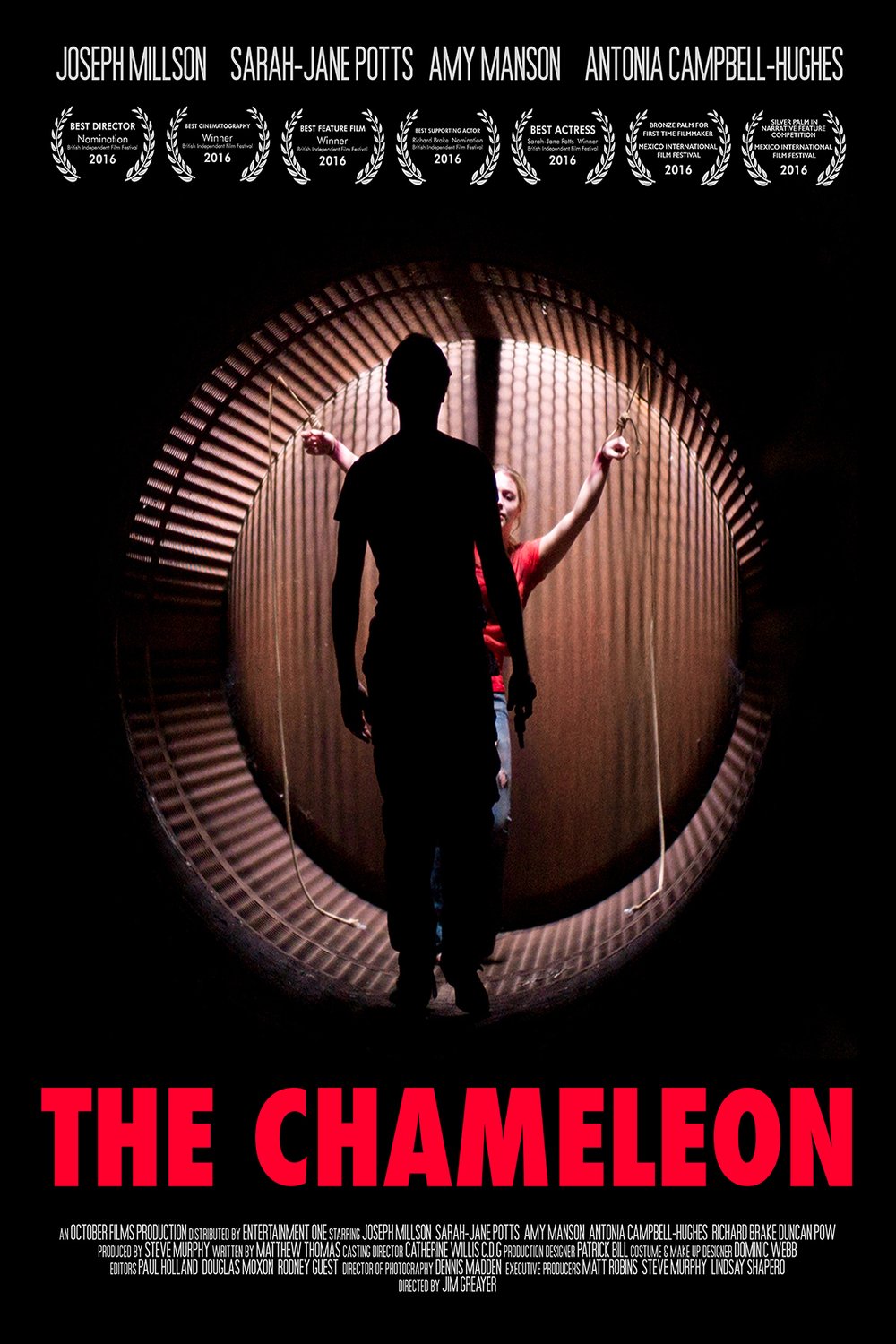 L'affiche du film Serial Thriller: The Chameleon [2015]