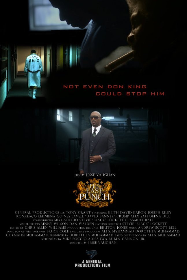 Poster of the movie The Last Punch