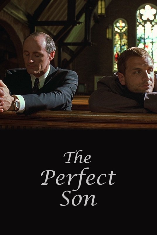 L'affiche du film The Perfect Son