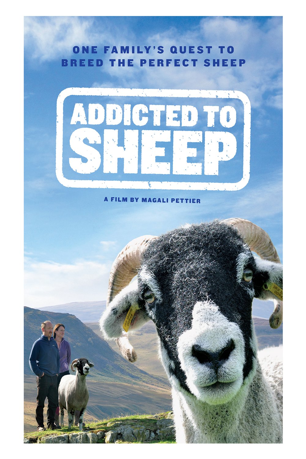 Poster of the movie Addicted to Sheep