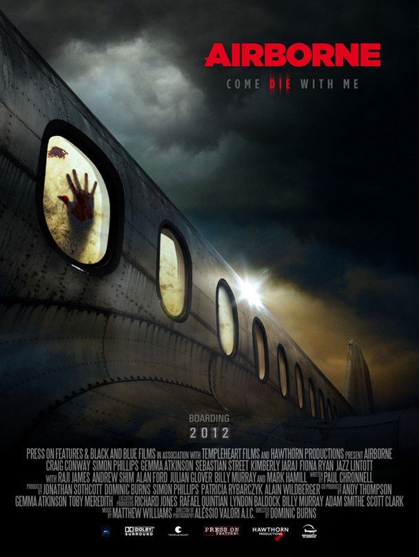 L'affiche du film Airborne [2012]