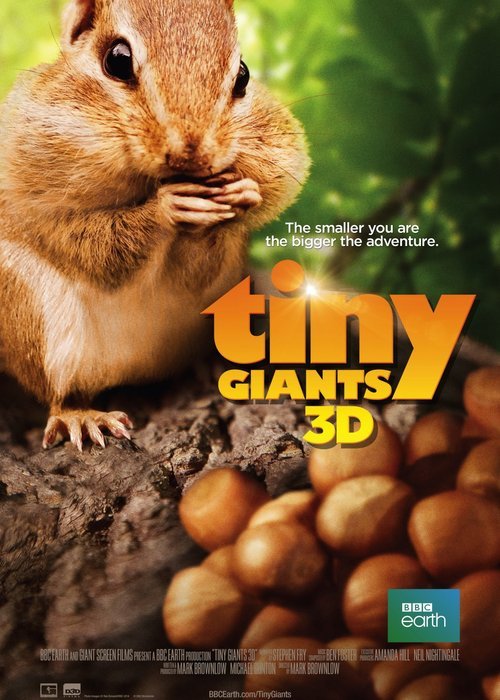 L'affiche du film Tiny Giants