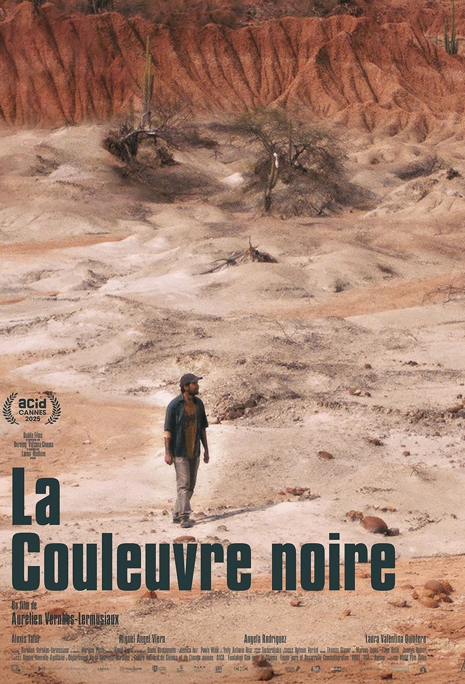 L'affiche du film The Black Snake