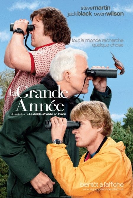 L'affiche du film La Grande année