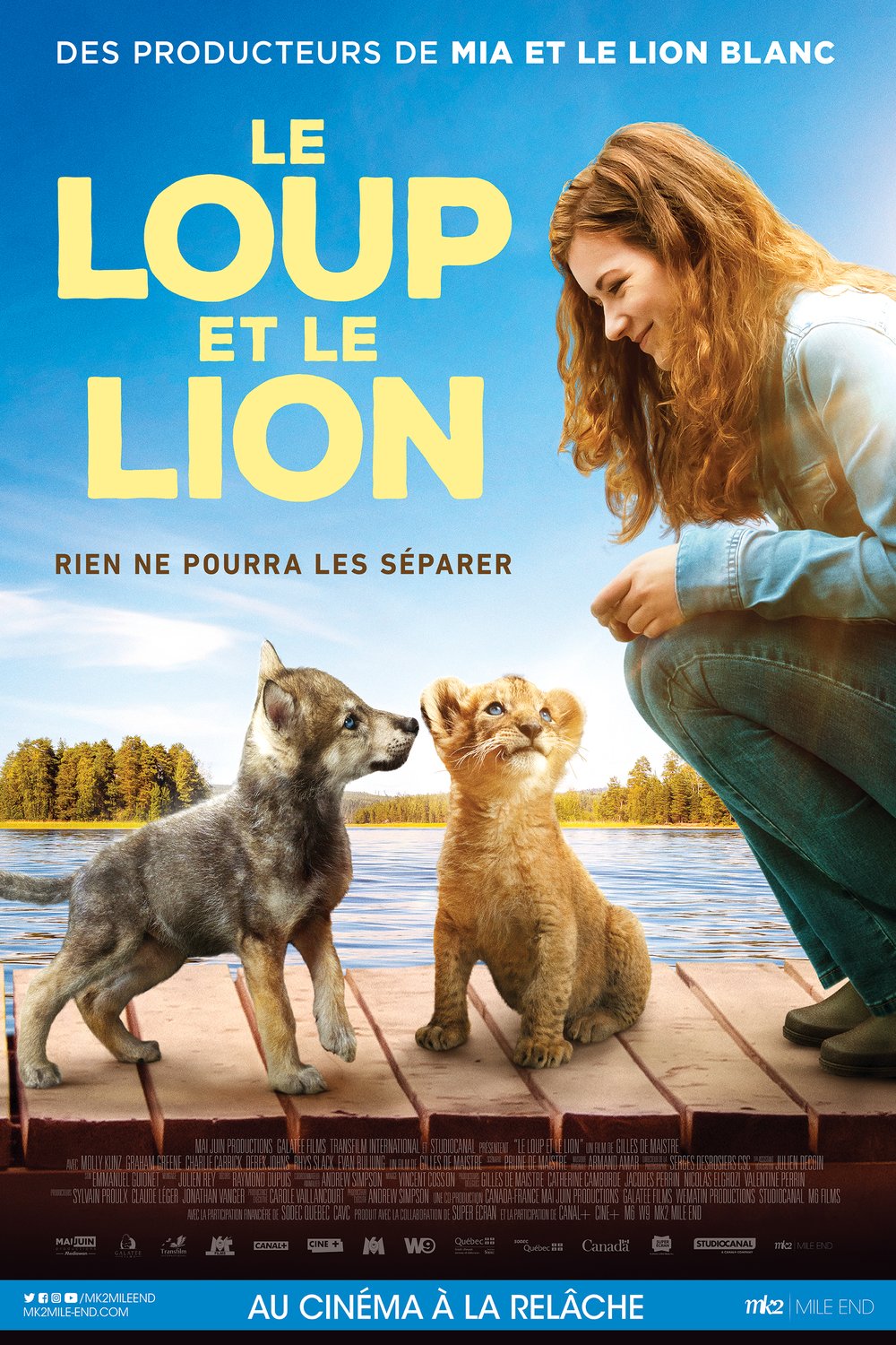 L'affiche du film Le loup et le lion