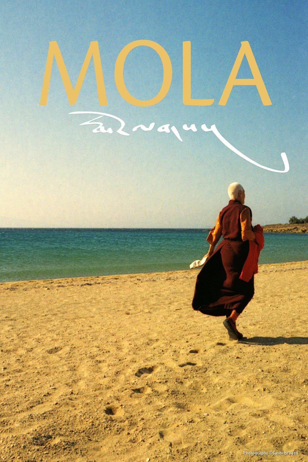 Poster of the movie MOLA - A Tibetan Tale of Love and Loss [2025]