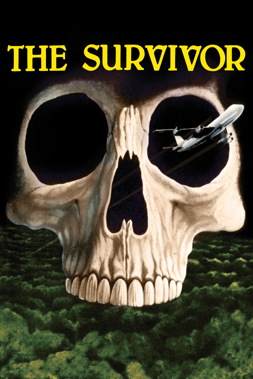 L'affiche du film The Survivor