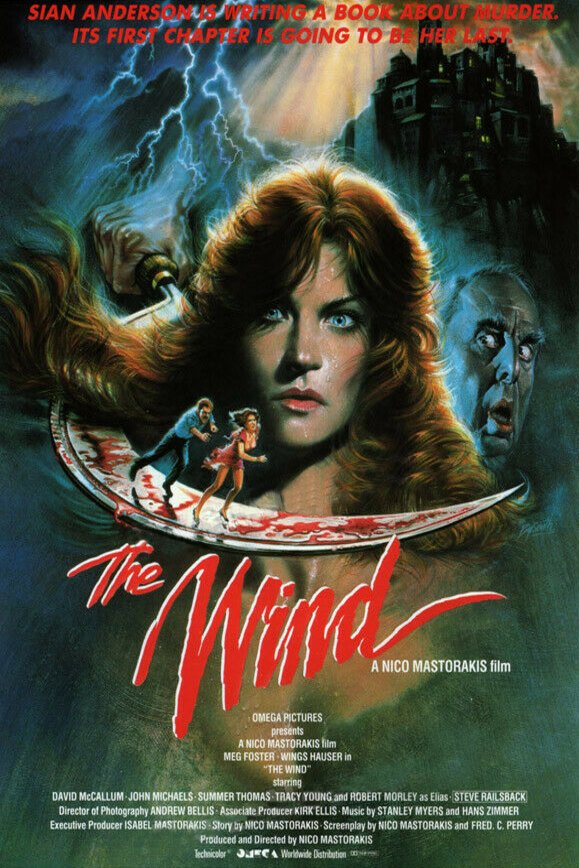Poster of the movie The Wind