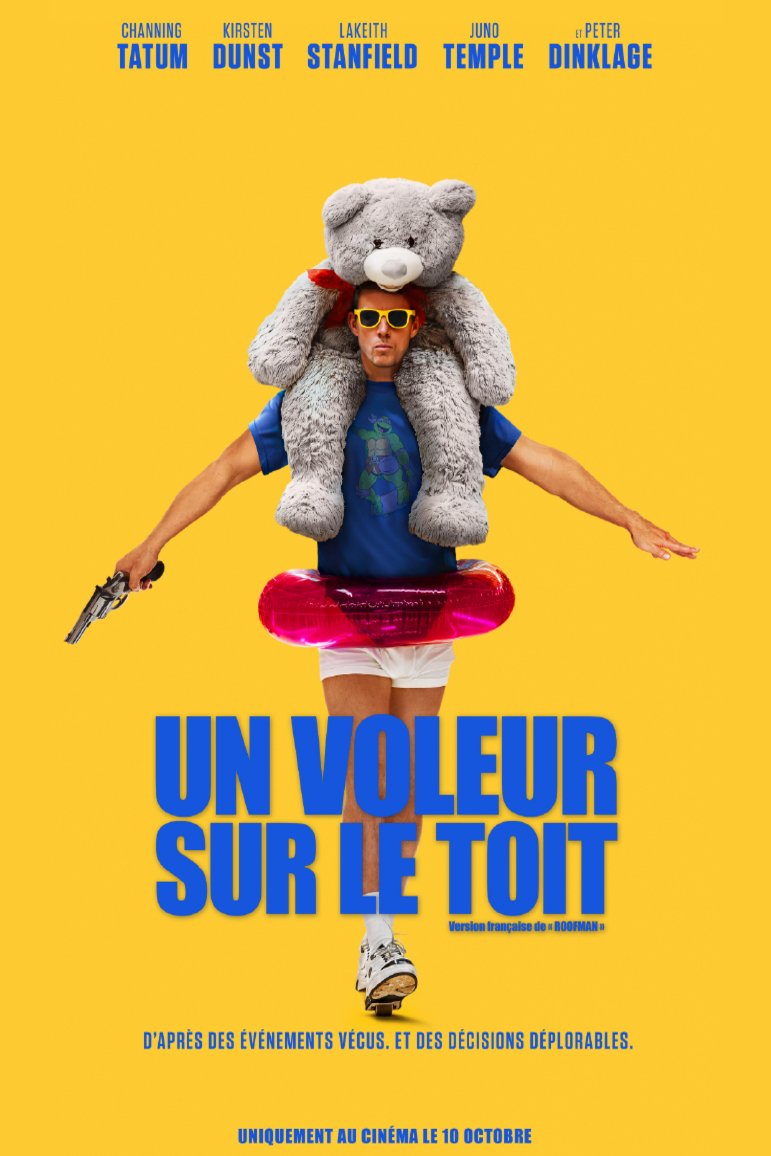 Poster of the movie Un voleur sur le toit