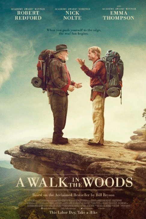 Poster of the movie A Walk in the Woods