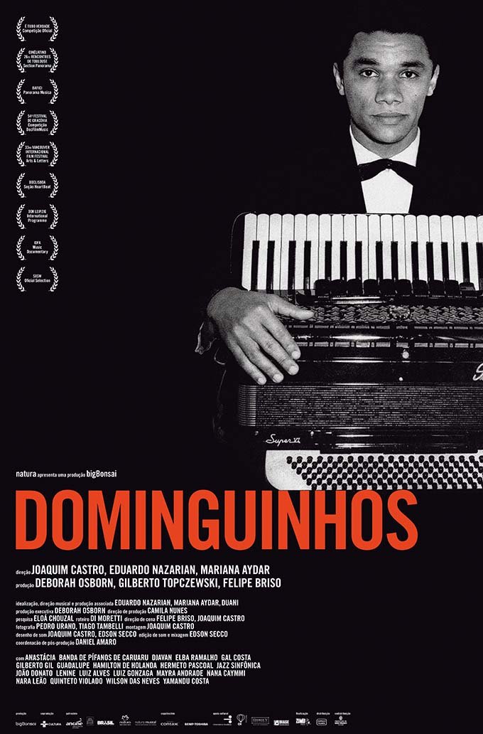 Poster of the movie Dominguinhos