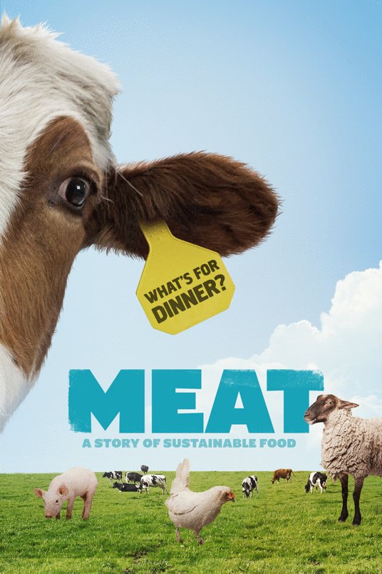 Poster of the movie Meat