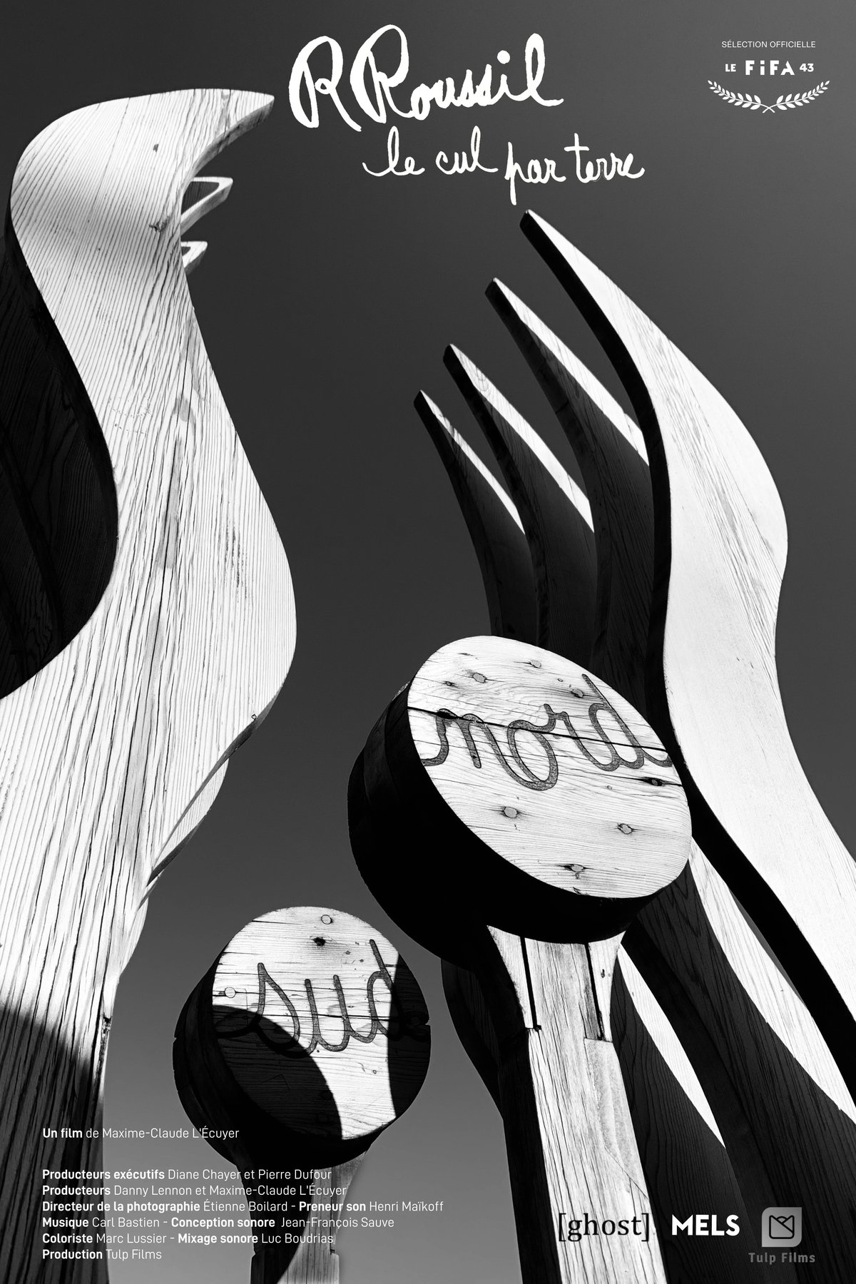 Poster of the movie Looking Up From the Ground [2025]