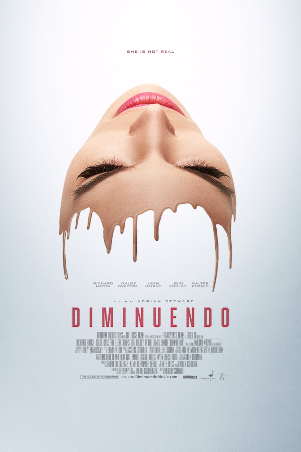 L'affiche du film Diminuendo