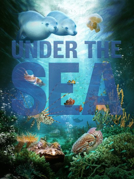L'affiche du film Under the Sea