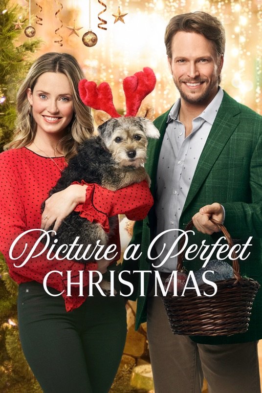 Poster of the movie Picture a Perfect Christmas